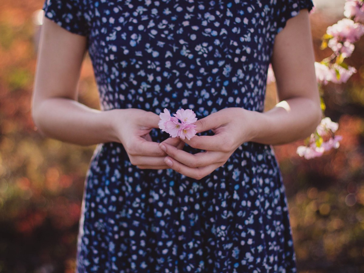 Imatge il·lustrativa