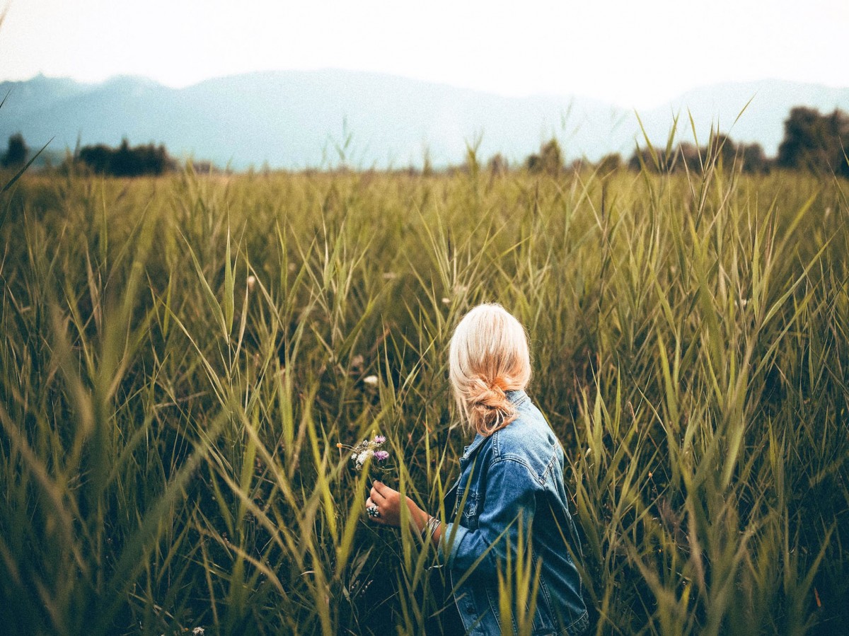 Imatge il·lustrativa