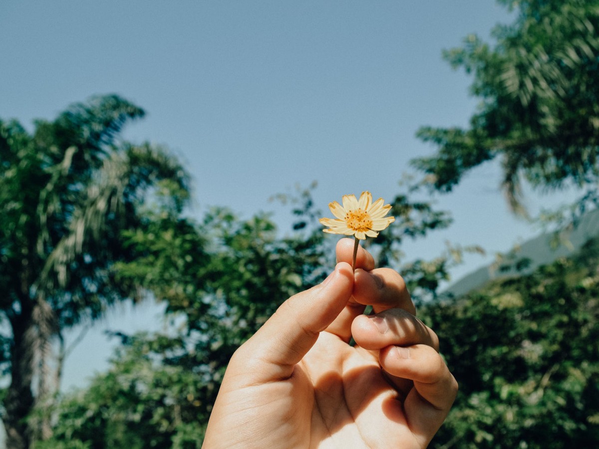 Imatge il·lustrativa