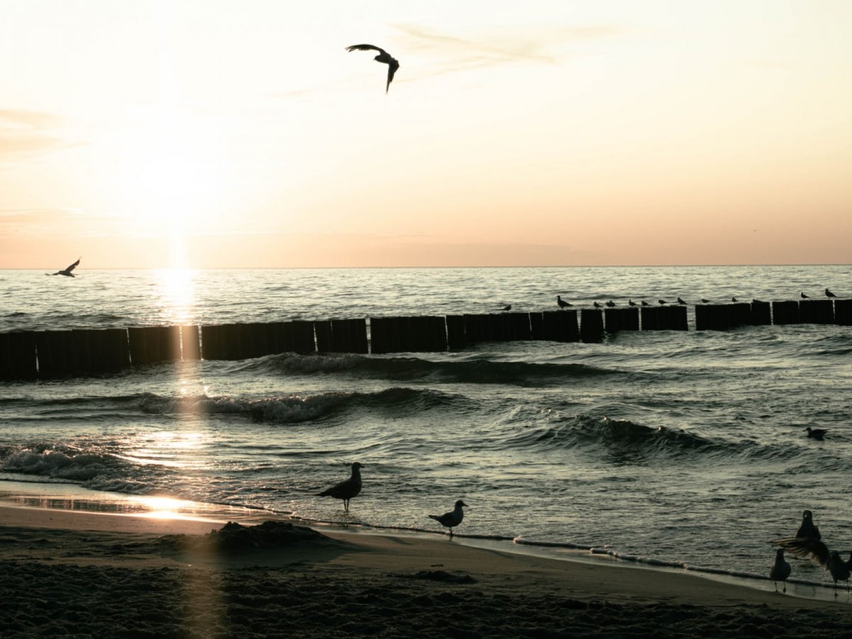 Imatge il·lustrativa