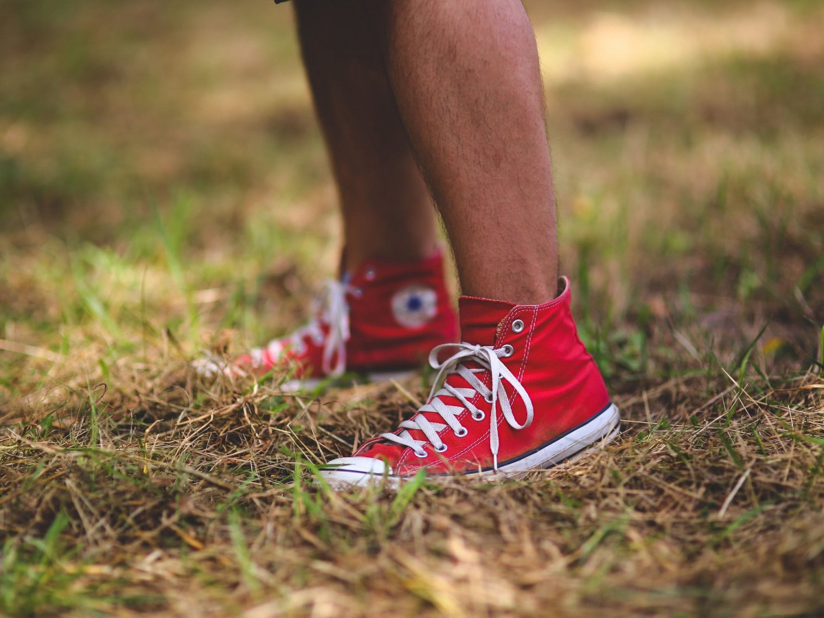 Imatge il·lustrativa