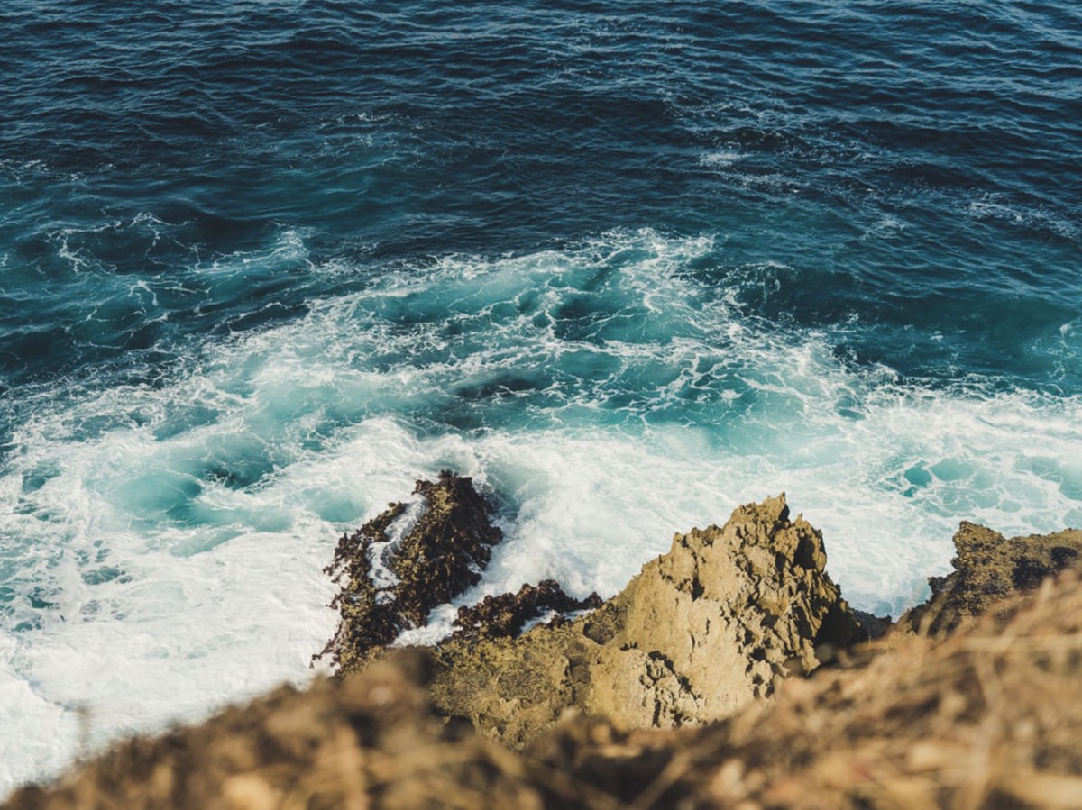 Imatge il·lustrativa