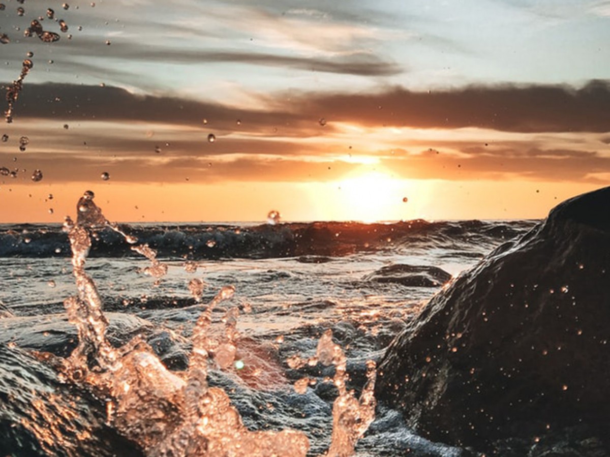 Imatge il·lustrativa