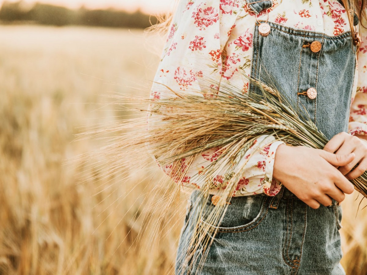 Imatge il·lustrativa