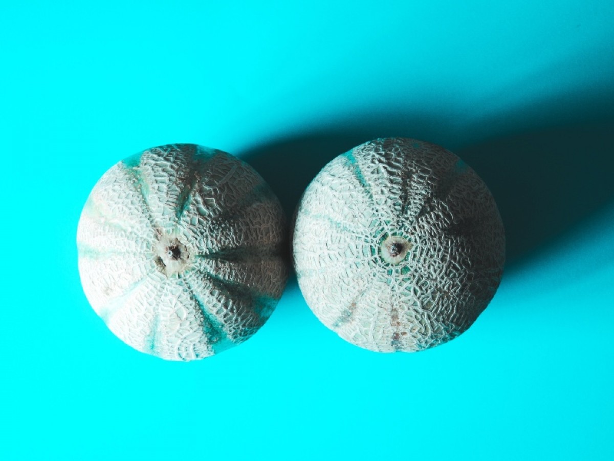 Imatge il·lustrativa