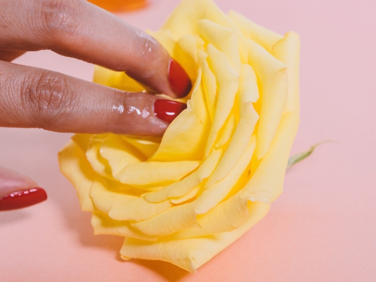 Imatge il·lustrativa