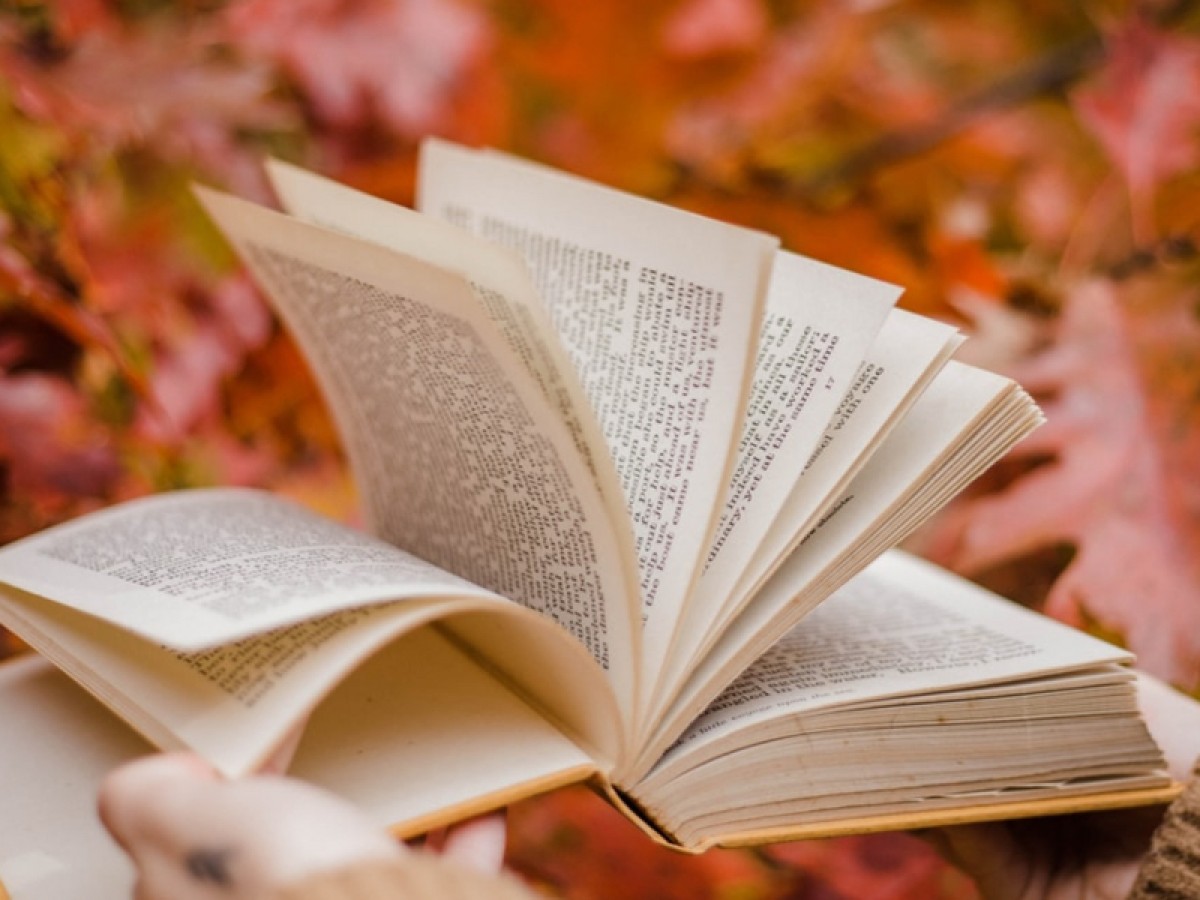 Imatge il·lustrativa