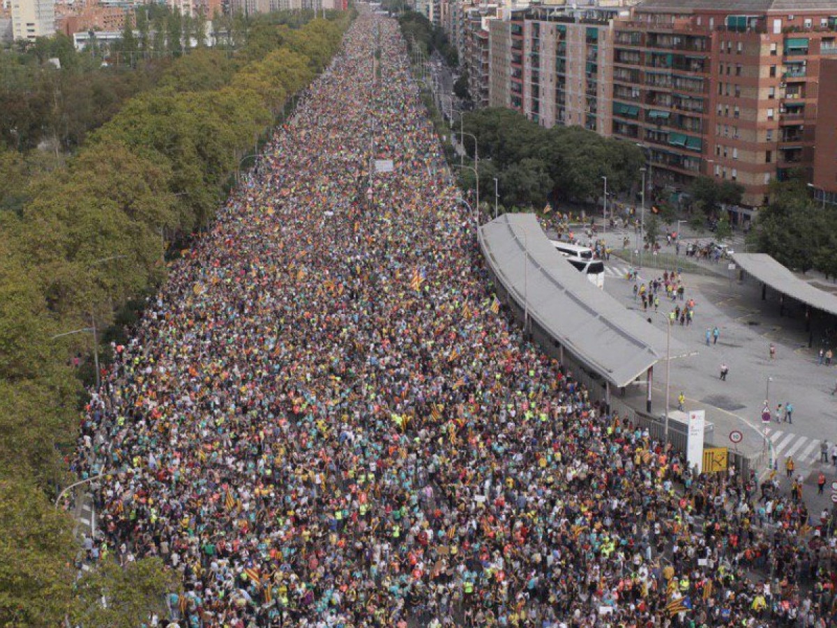 Imatge il·lustrativa