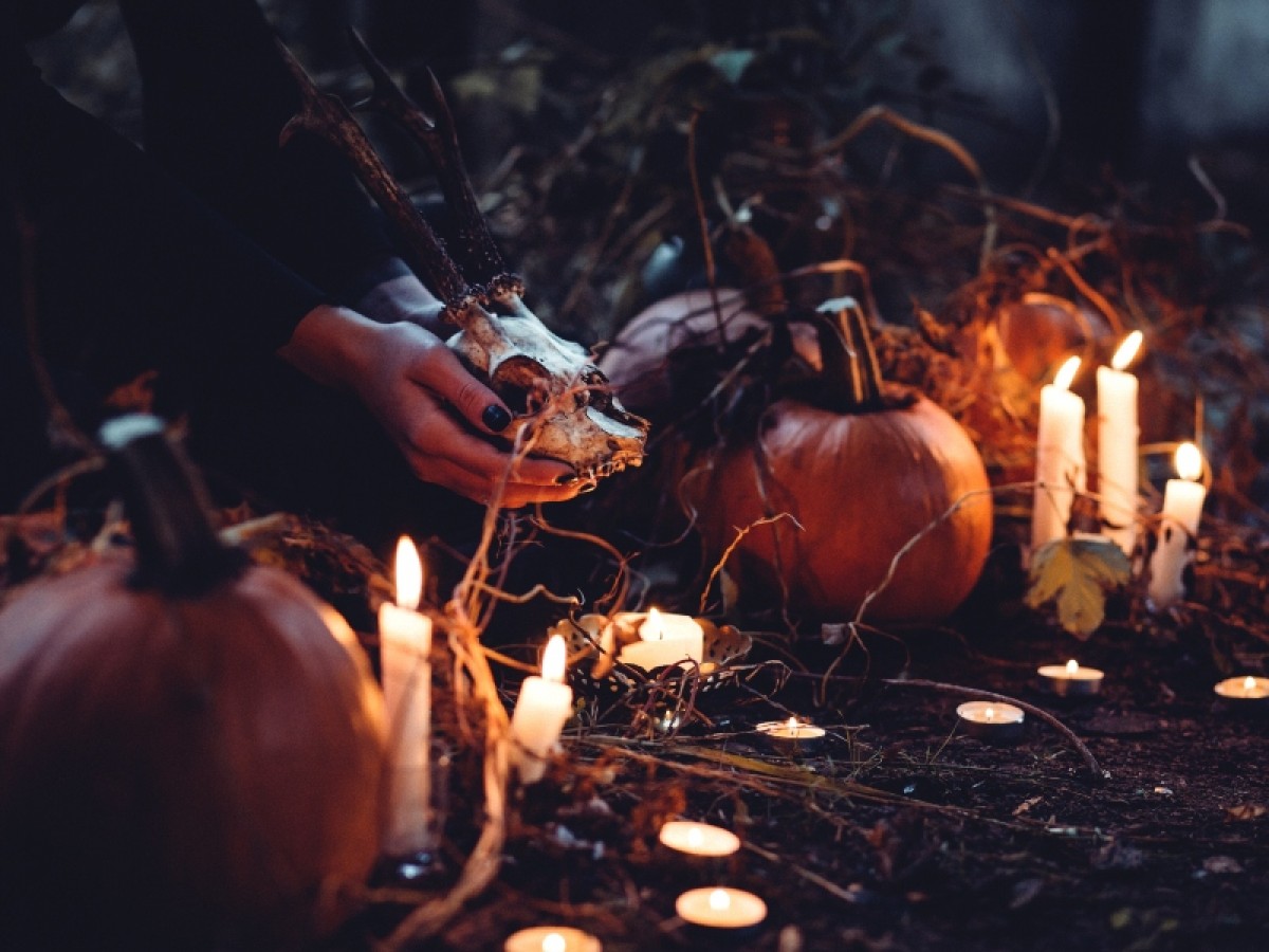 Imatge il·lustrativa