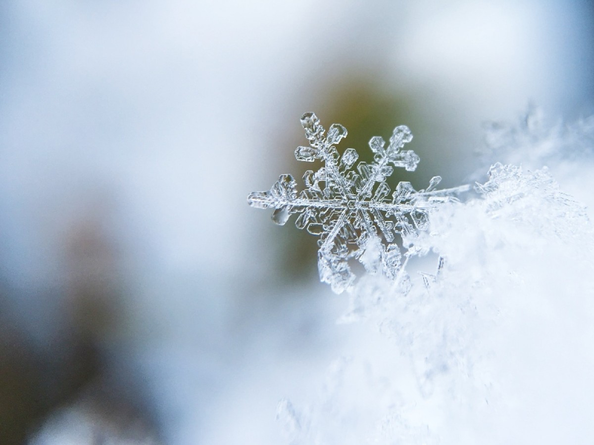 Imatge il·lustrativa