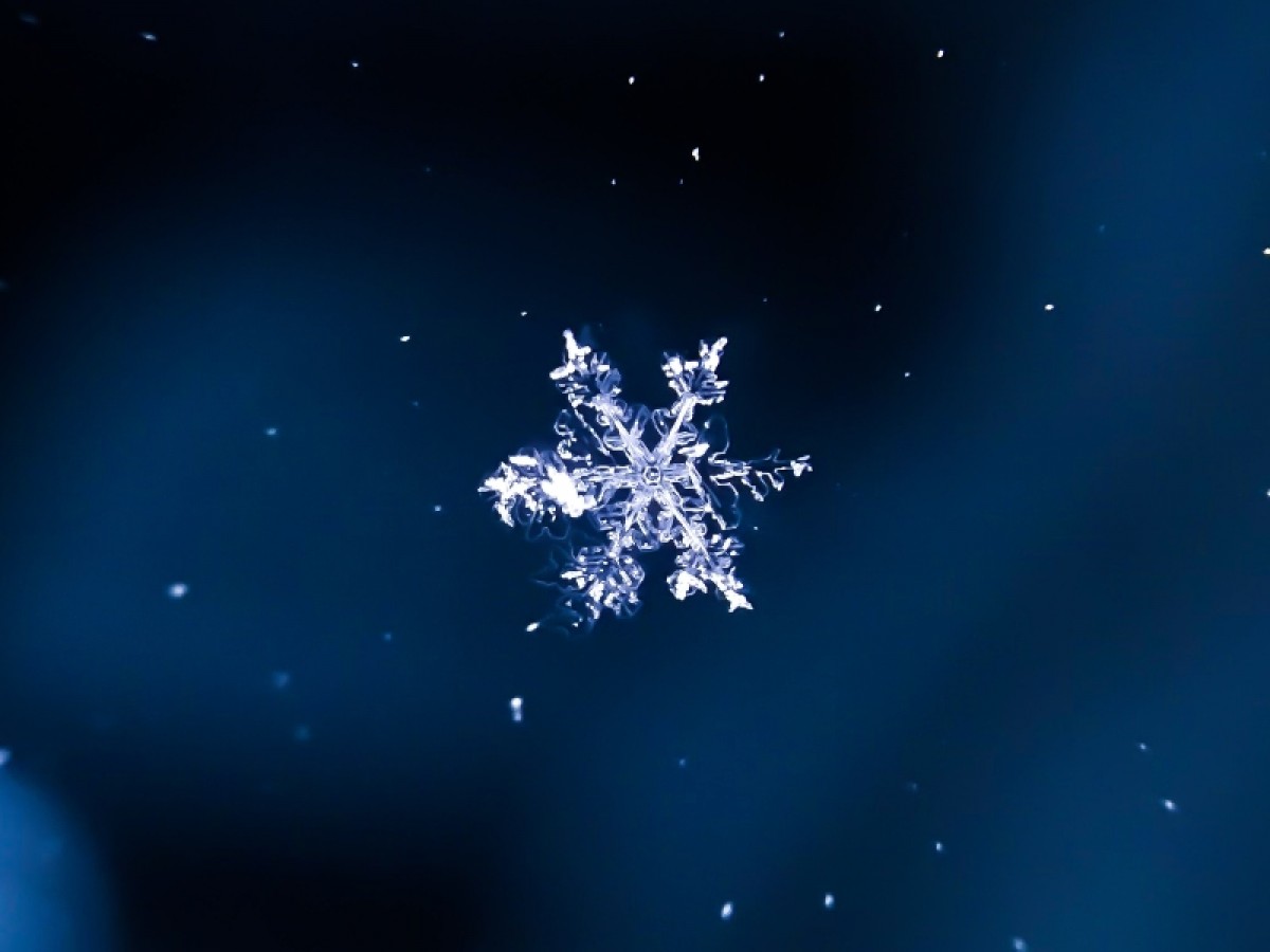 Imatge il·lustrativa