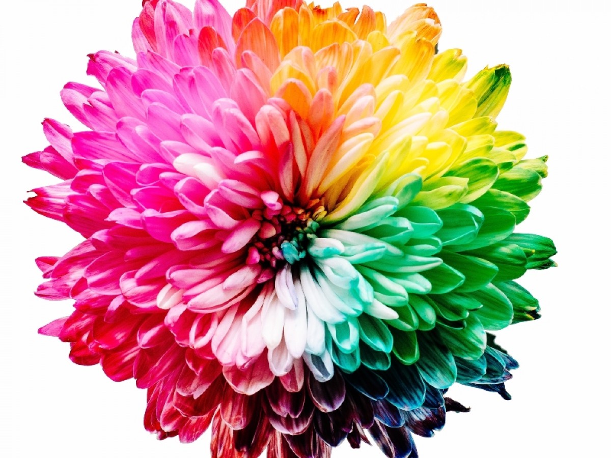 Imatge il·lustrativa