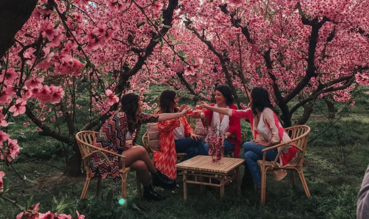 Imatge il·lustrativa