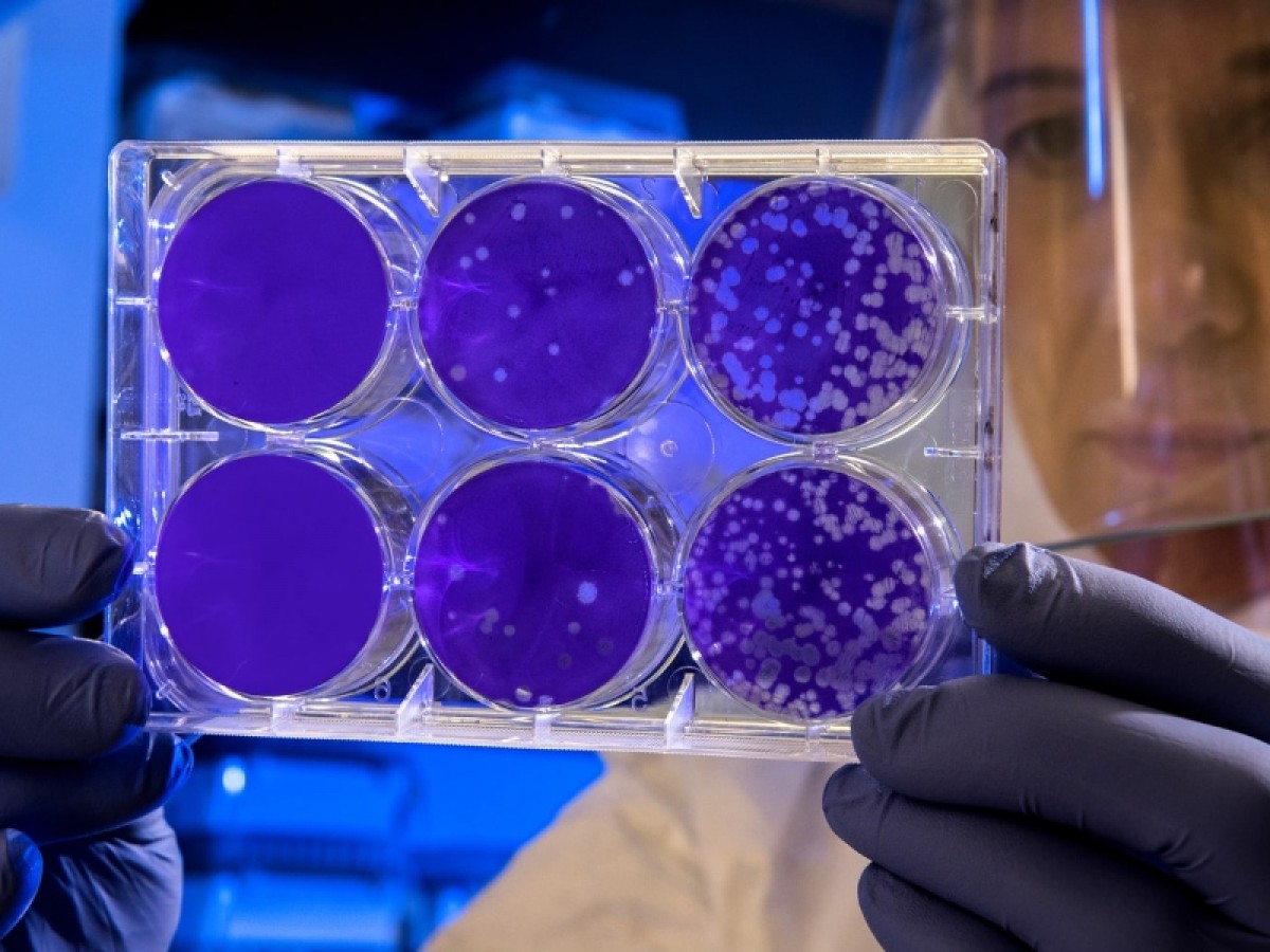 Imatge il·lustrativa