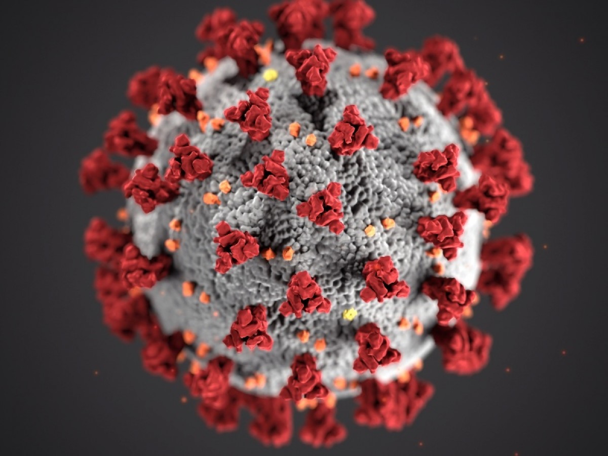 Imatge il·lustrativa