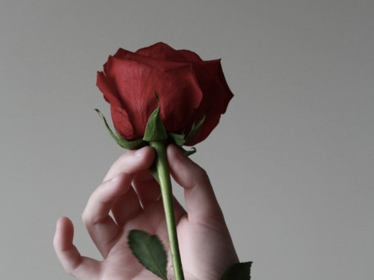 Imatge il·lustrativa