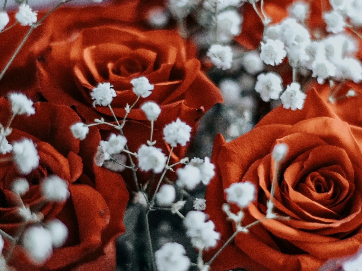 Imatge il·lustrativa