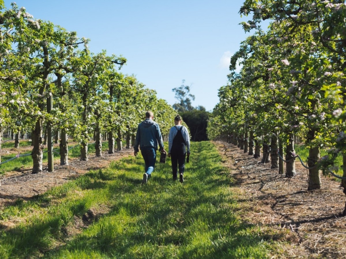 Imatge il·lustrativa