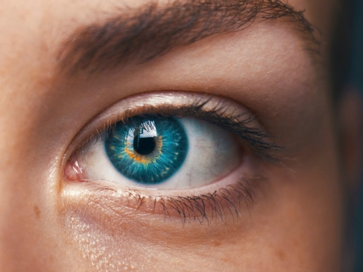 Imatge il·lustrativa