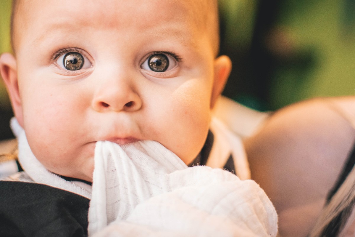 Imatge il·lustrativa