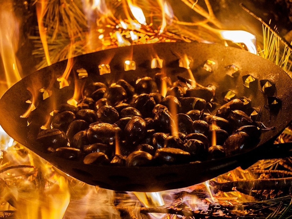 Imatge il·lustrativa