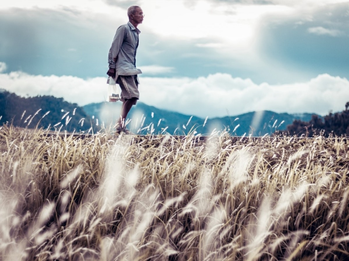 Imatge il·lustrativa