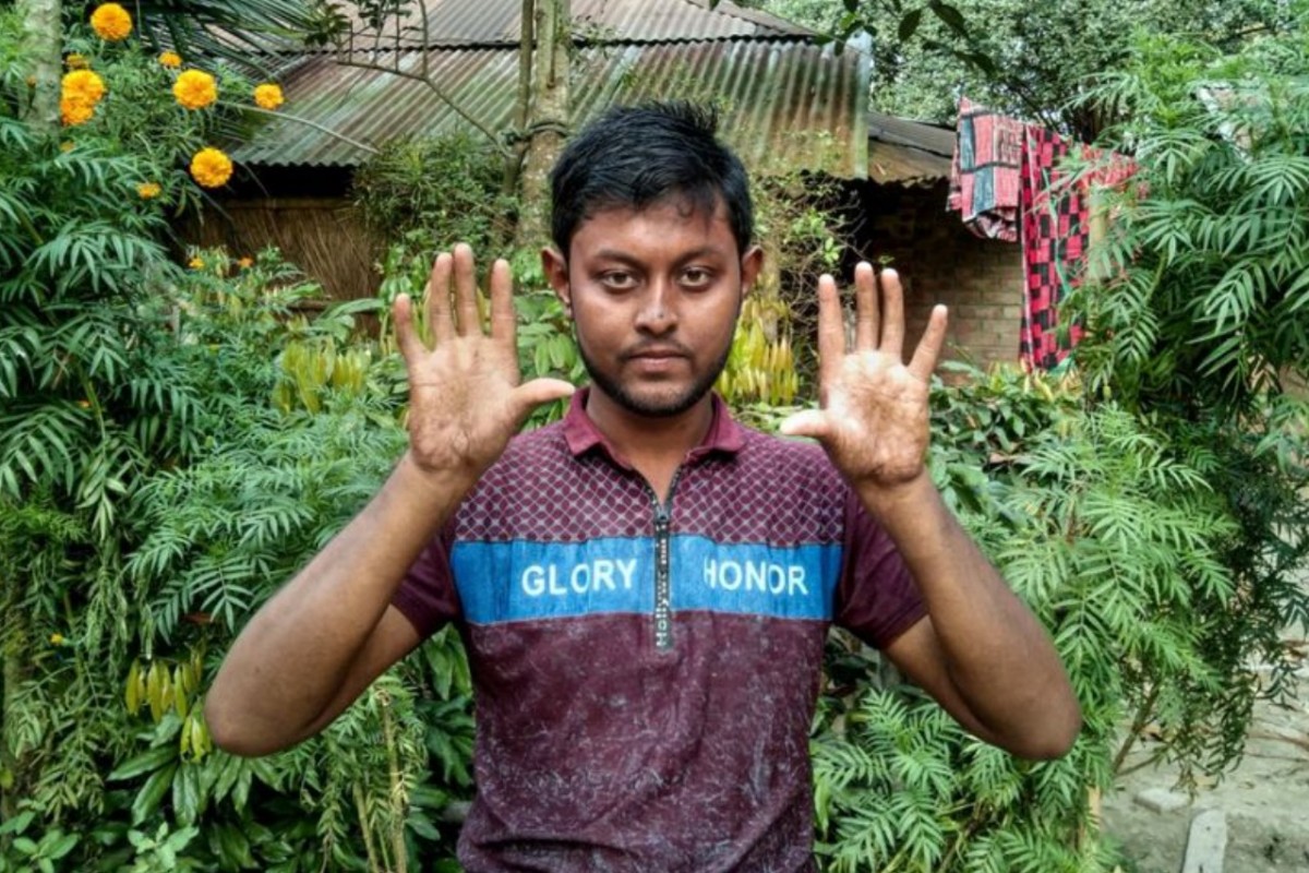 Imatge il·lustrativa