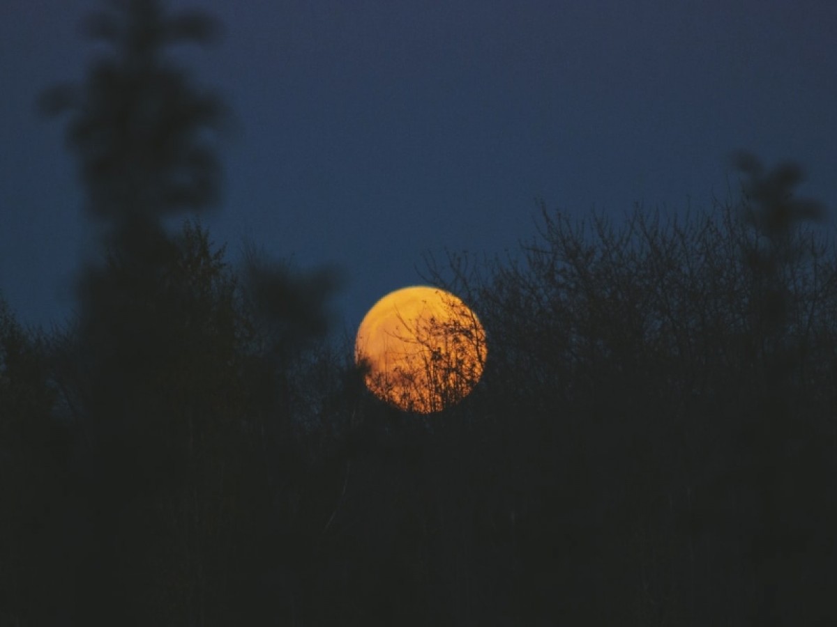 Imatge il·lustrativa