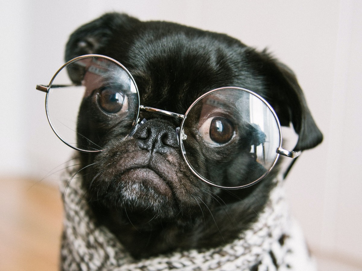 Imatge il·lustrativa