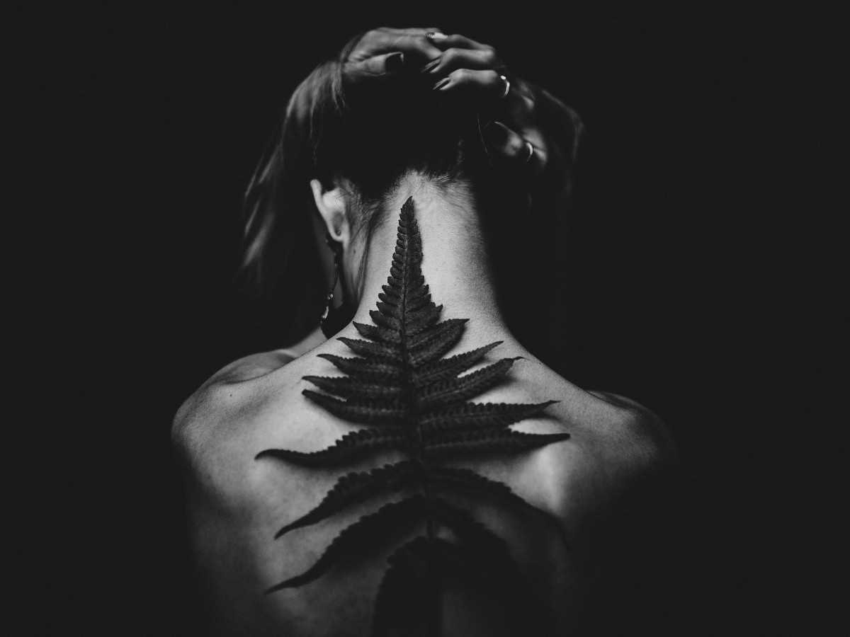 Imatge il·lustrativa