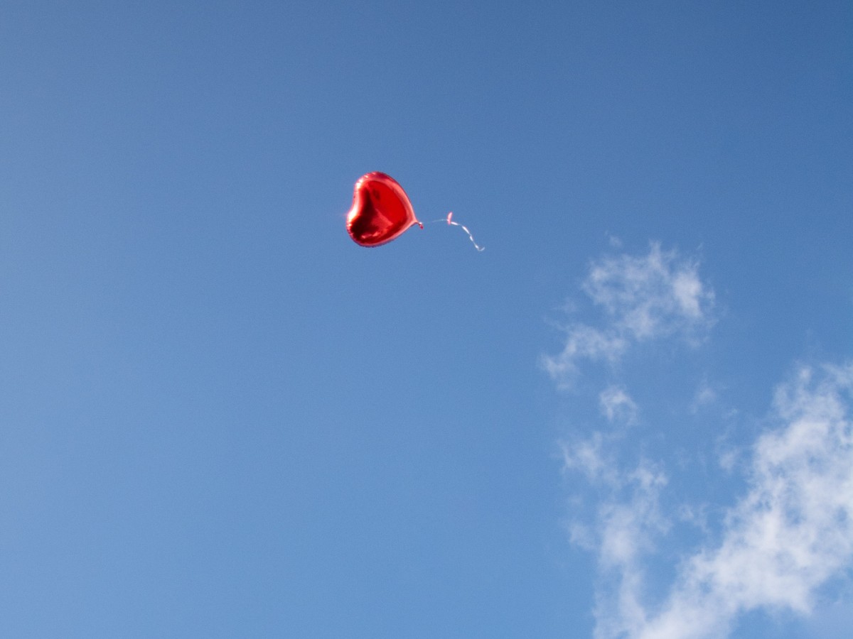 Imatge il·lustrativa