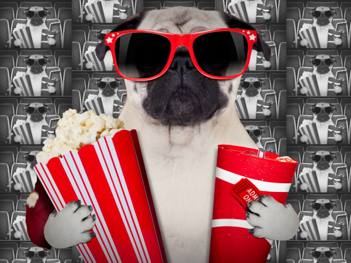 Imatge il·lustrativa