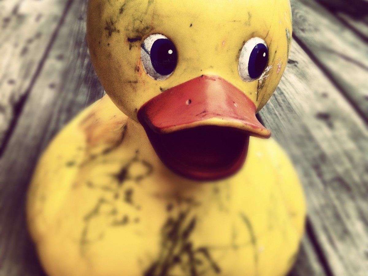 Imatge il·lustrativa