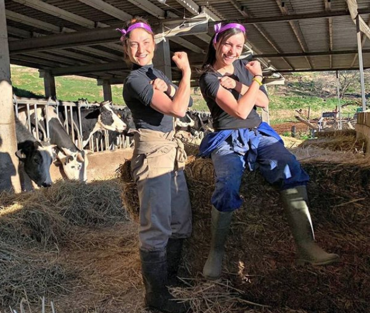 Imatge il·lustrativa