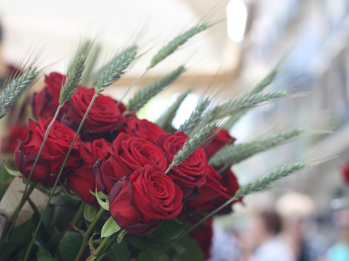 Imatge il·lustrativa