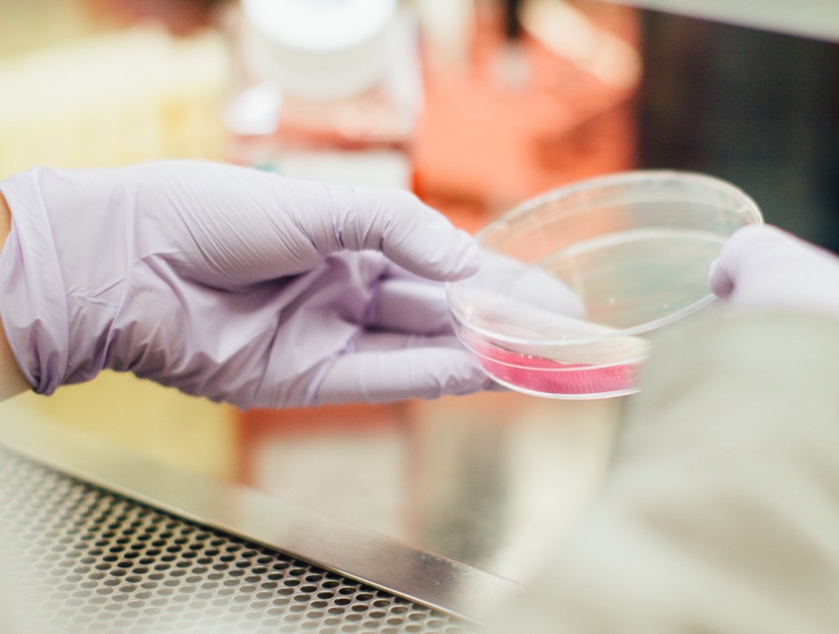 Imatge il·lustrativa