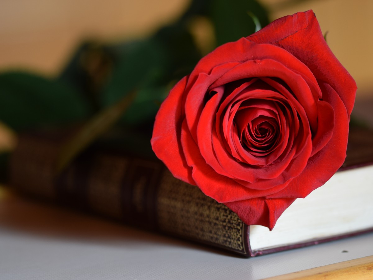 Imatge il·lustrativa