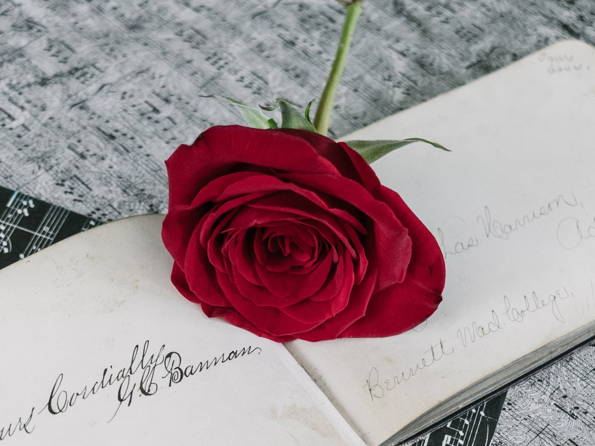 Imatge il·lustrativa