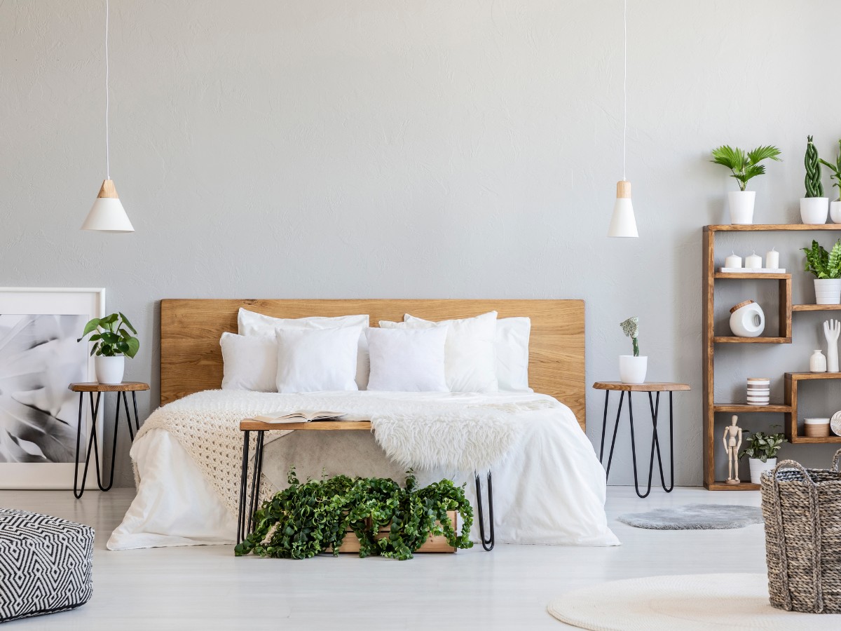 Imatge il·lustrativa