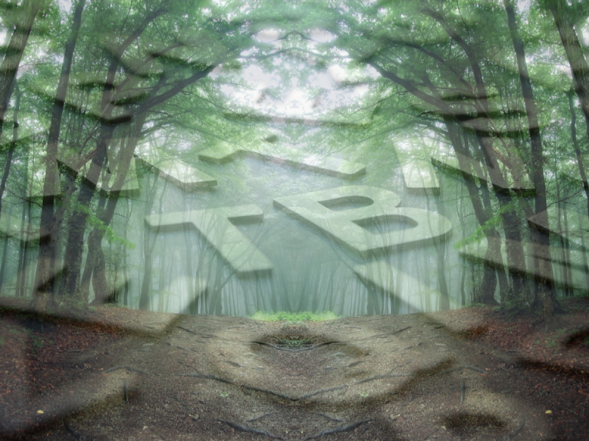 Imatge il·lustrativa