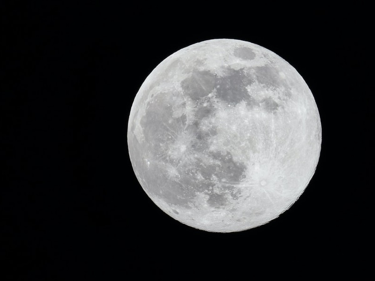 Imatge il·lustrativa