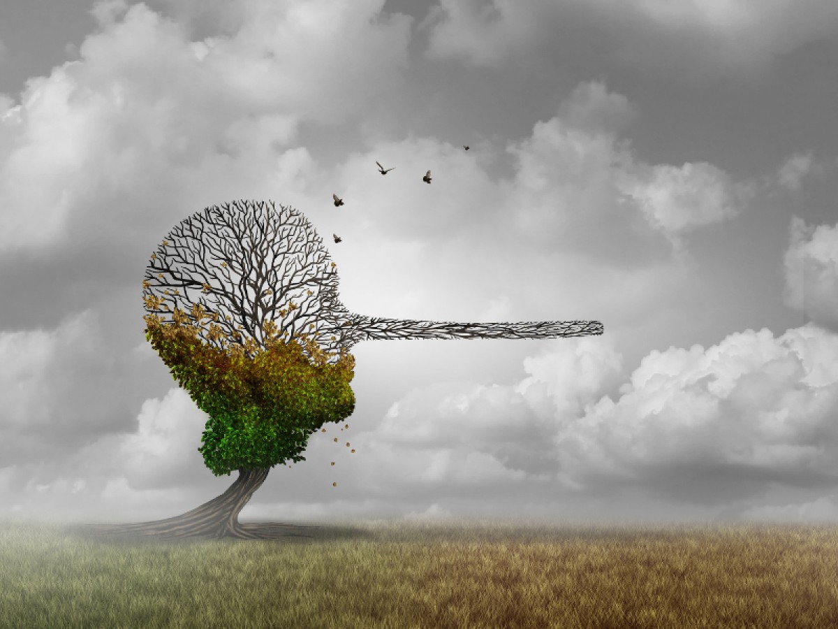 Imatge il·lustrativa