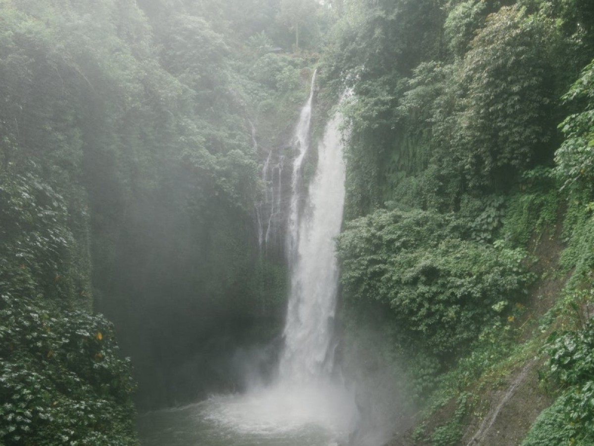 Imatge il·lustrativa