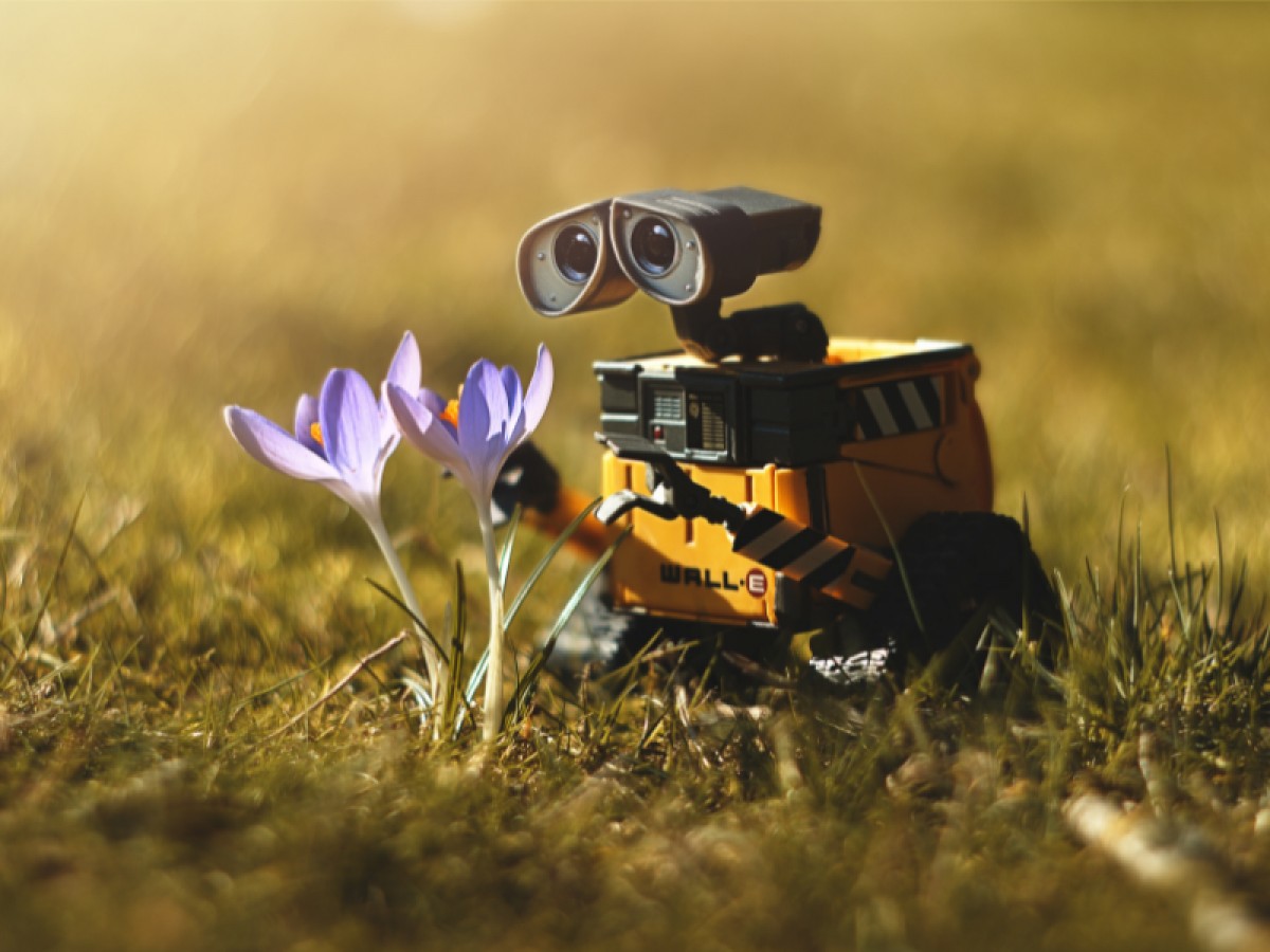 Imatge il·lustrativa