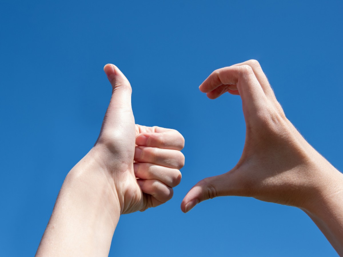 Imatge il·lustrativa