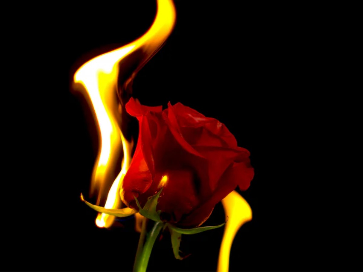 Imatge il·lustrativa