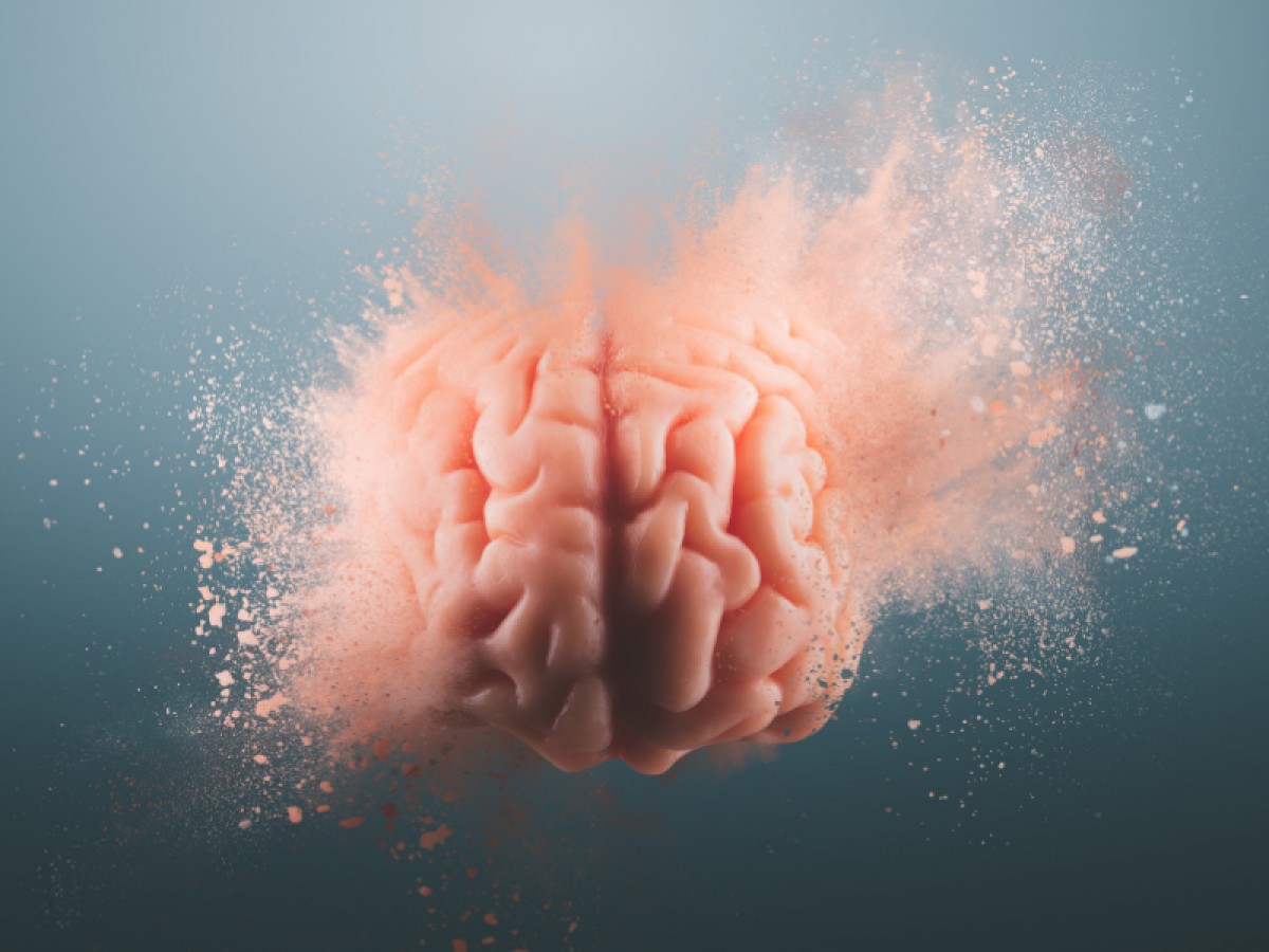 Imatge il·lustrativa