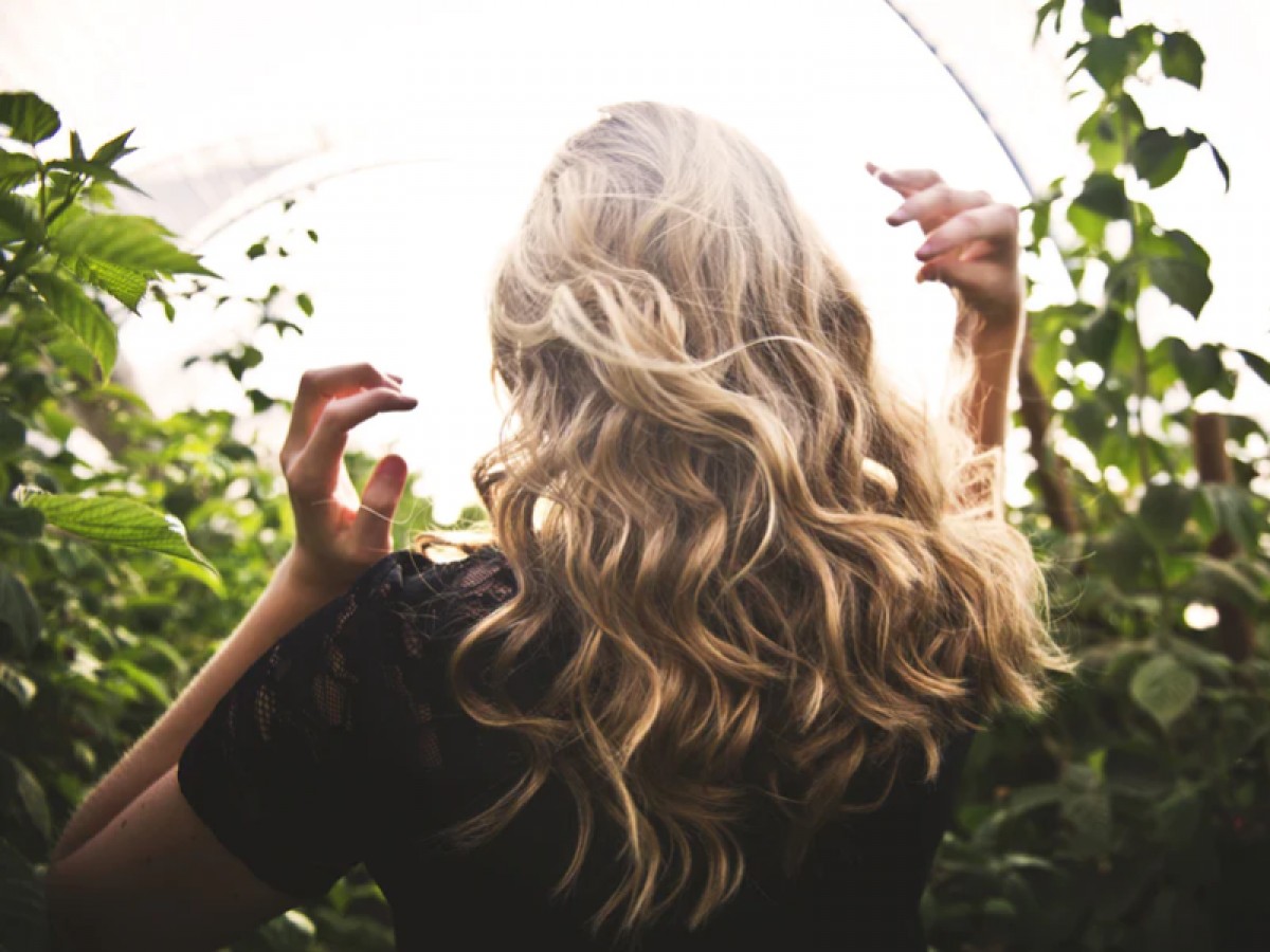 Imatge il·lustrativa