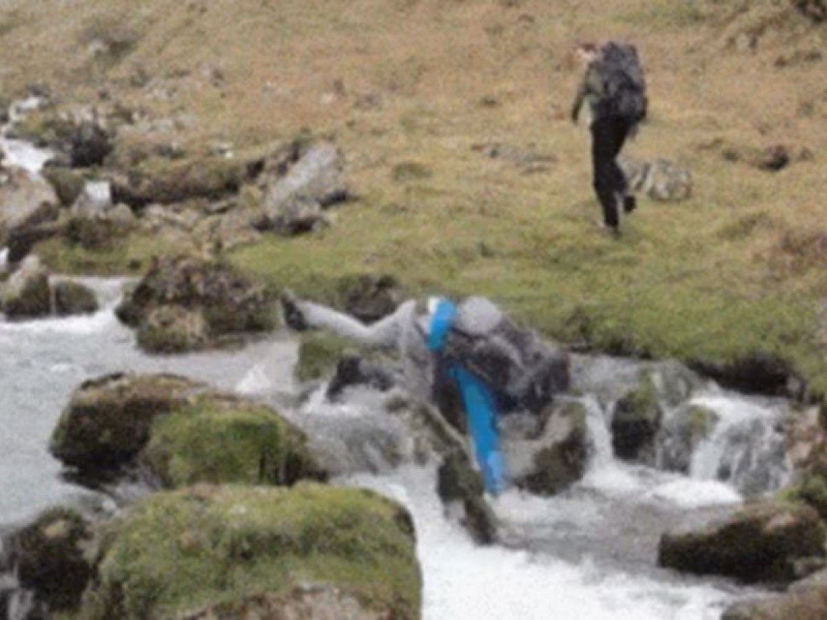 Imatge il·lustrativa