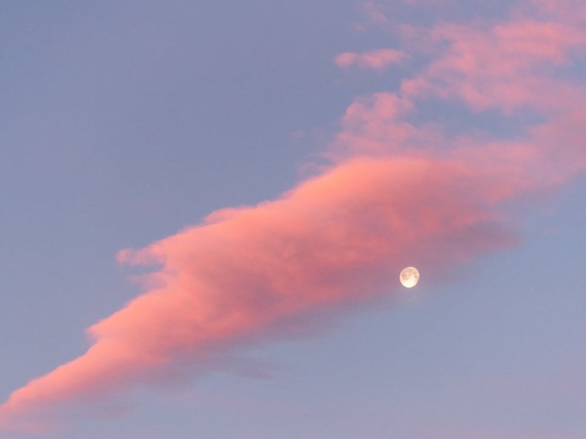 Imatge il·lustrativa